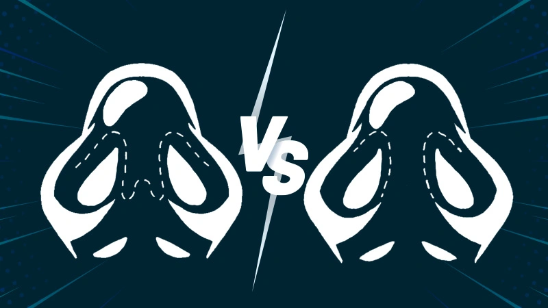 Open vs. Closed Rhinoplasty: Key Differences Explained